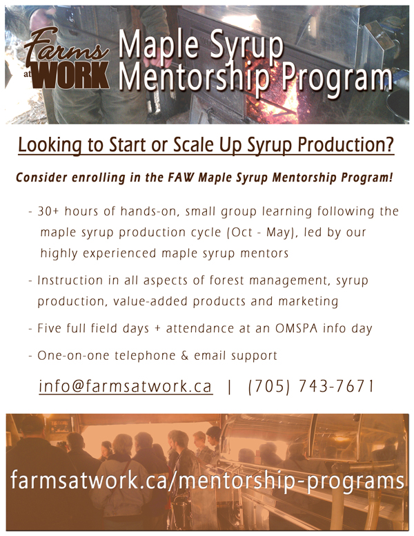FAW Maple Syrup Mentorship